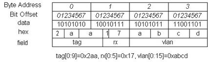 Byte and Bit Order Dissection