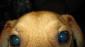 Profile picture for user jmcse1