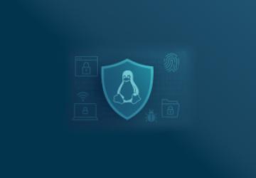 Guardians of Privacy: How Security-Driven Linux Distributions Are Rising to Meet Growing Digital Fears