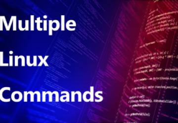 Running Multiple Linux Commands Simultaneously