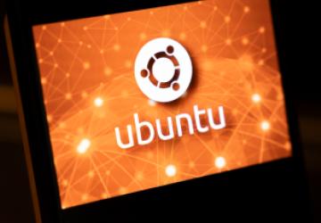Ubuntu 26.10 Development Officially Begins as ‘Stonking Stingray’ Takes Shape