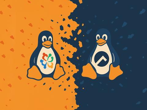 Rising from the Ashes: How AlmaLinux and Rocky Linux Redefined the Post-CentOS Landscape