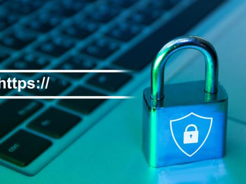 Tails 7.15.1 Blocks Compromised HTTPS Certificates in Urgent Privacy Security Fix