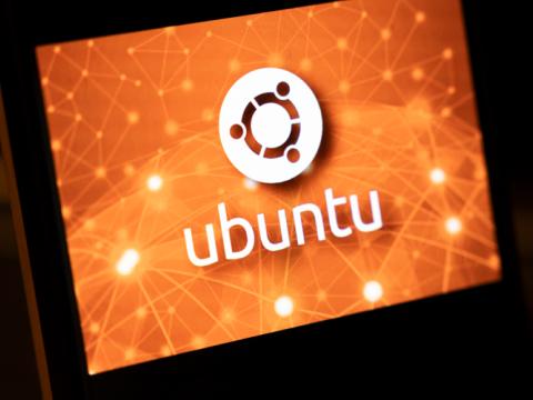 Ubuntu 26.10 Development Officially Begins as ‘Stonking Stingray’ Takes Shape