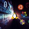 5 Distributions Of Linux To Consider For Your Server